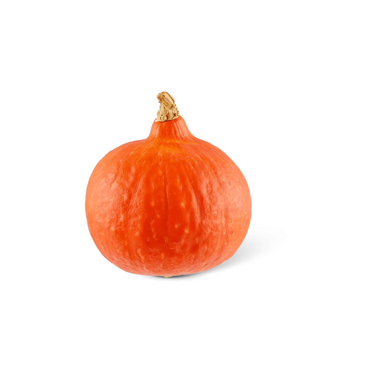 1 De Beste Oranje pompoen