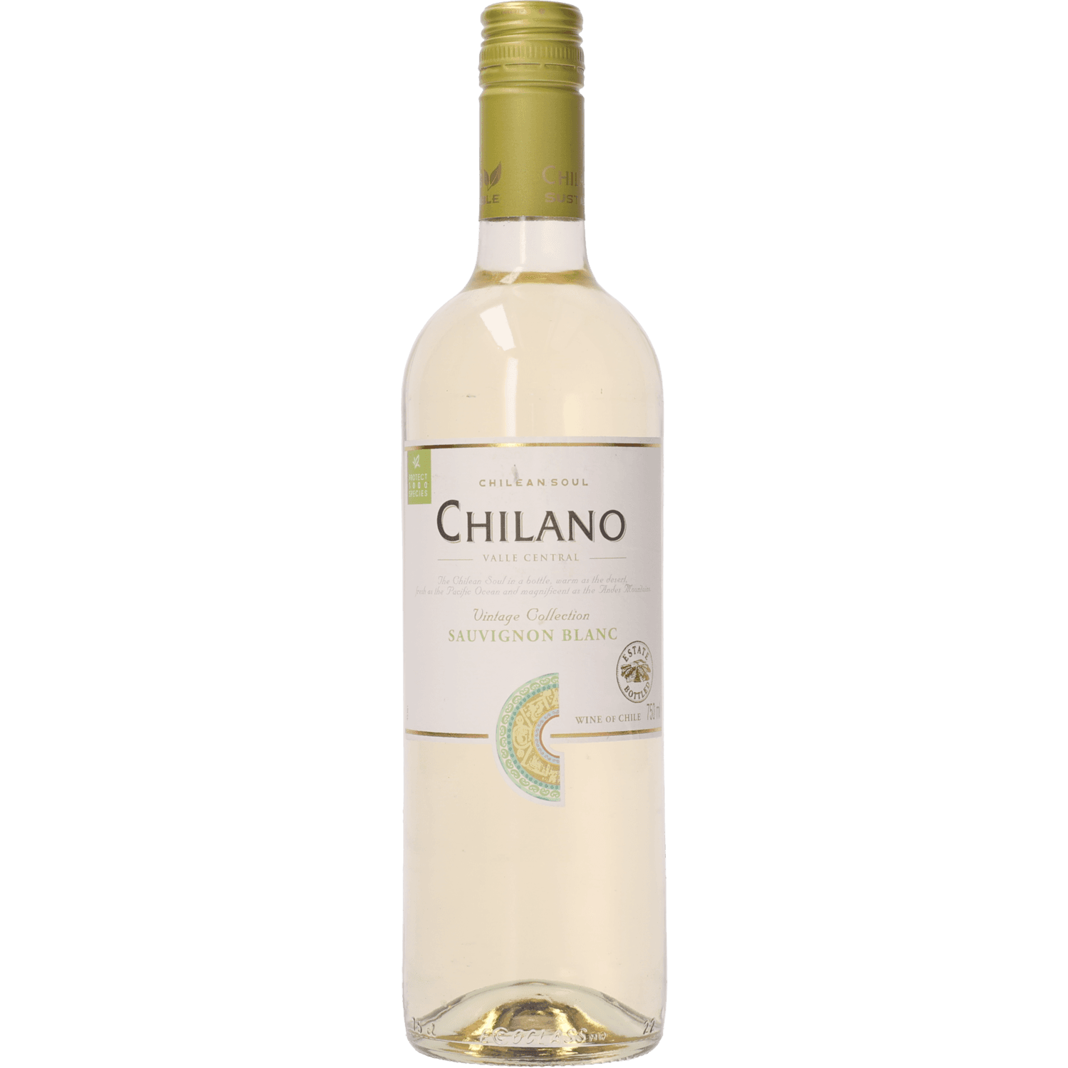Chilano Sauvignon blanc