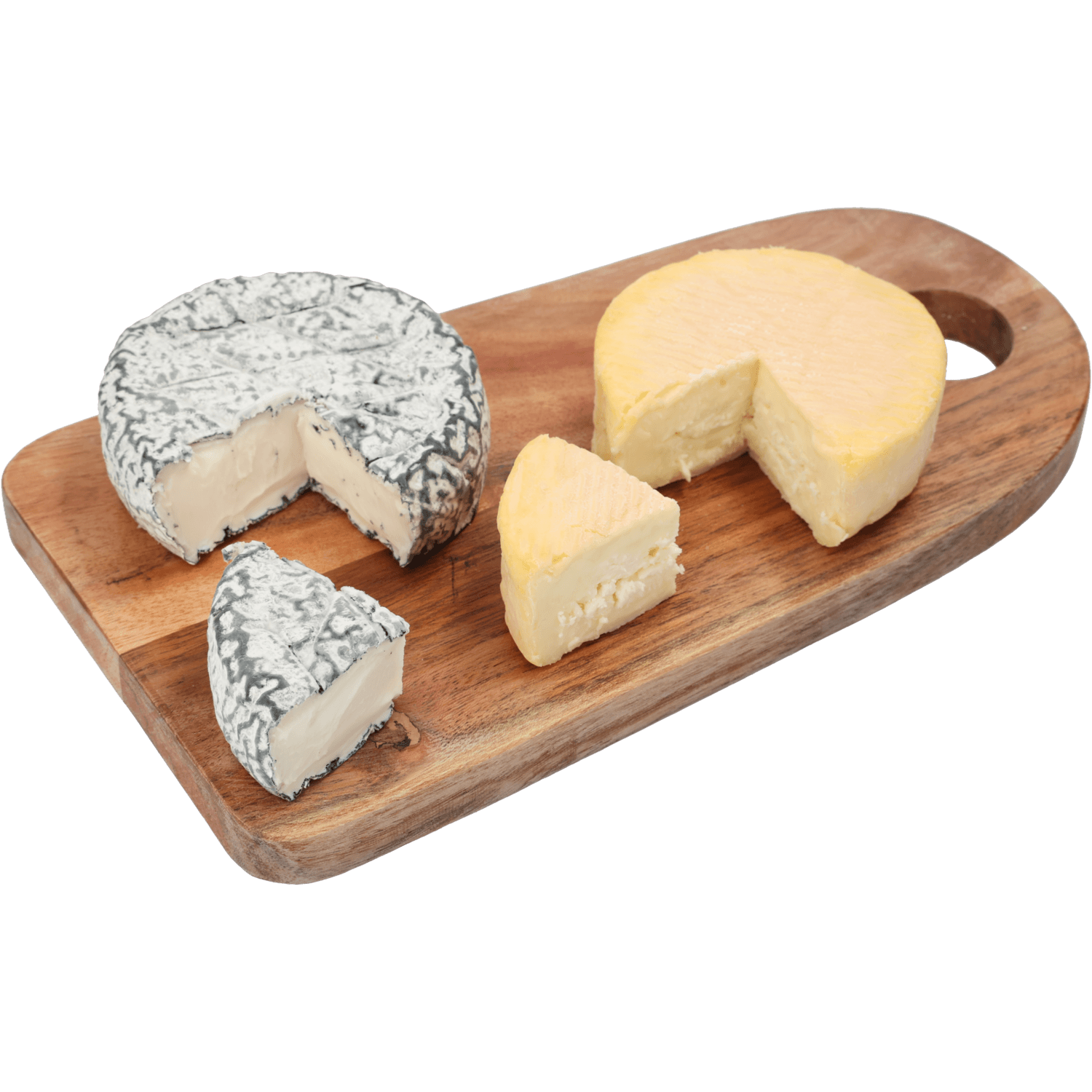 BITS & BITES Munster