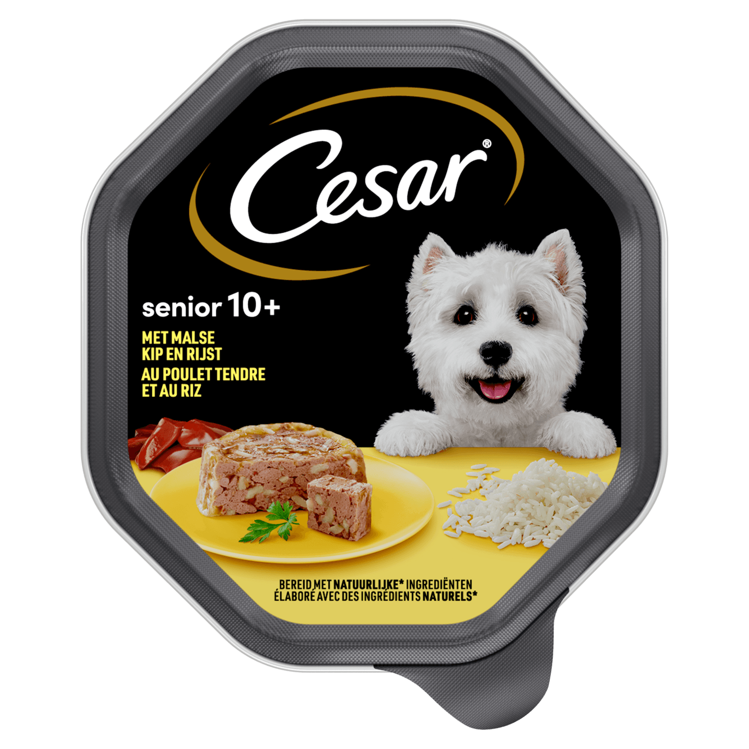 Cesar Hondenvoer senior kip-rijst gelei 10+ jaar