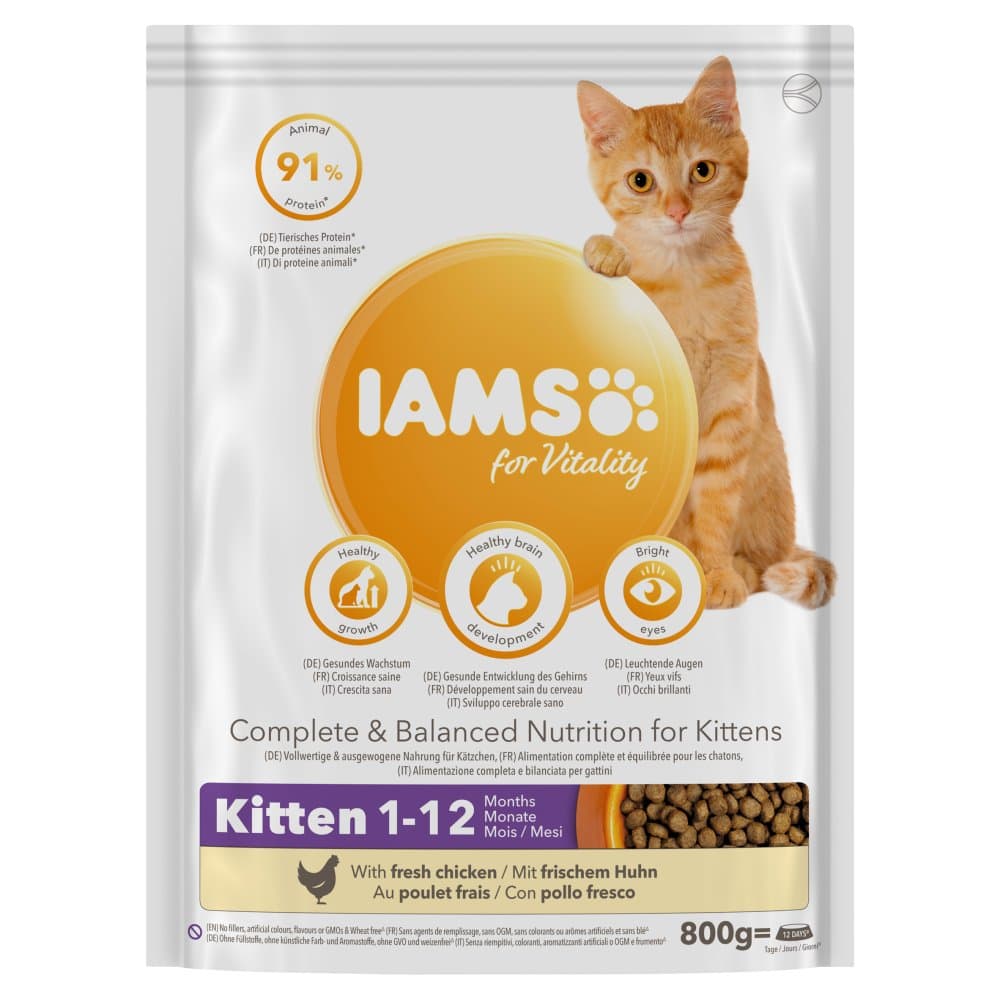 Iams kat junior kip 800gr