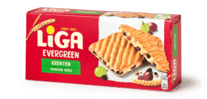 Evergreen koek krenten 6x
