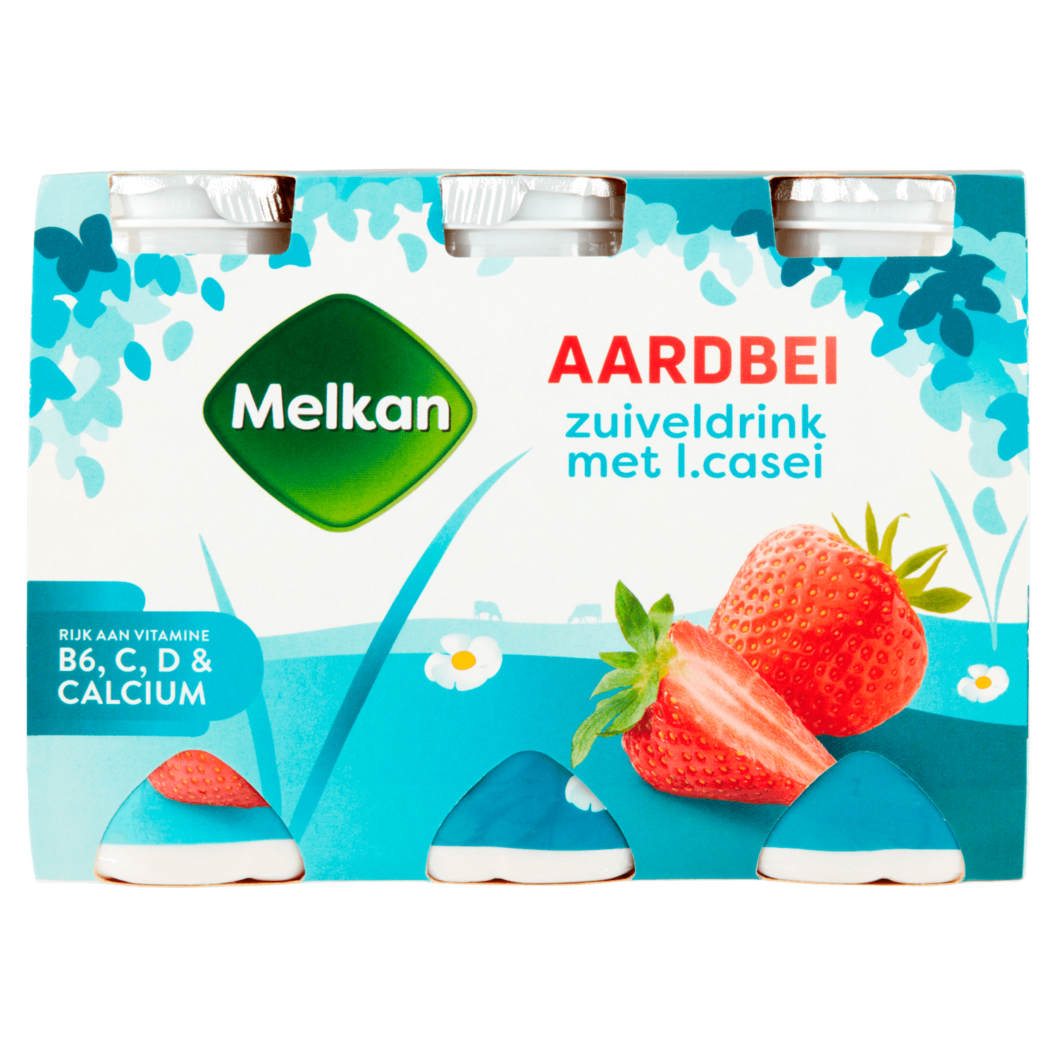 Melkan Zuiveldrink aardbei